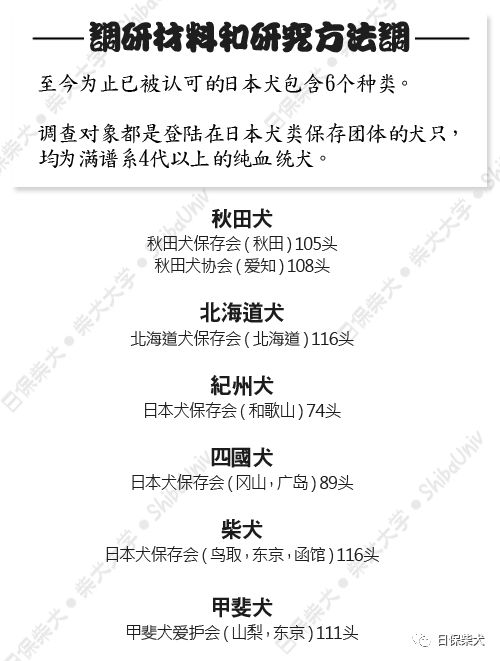 日本犬起源和分化の遗传学研究 日保柴犬 微信公众号文章阅读 Wemp