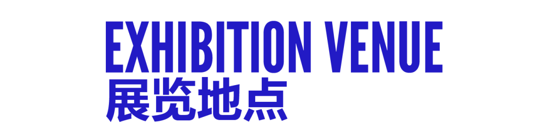 王延青 | 巴黎“回声：当代艺术展” 第34张