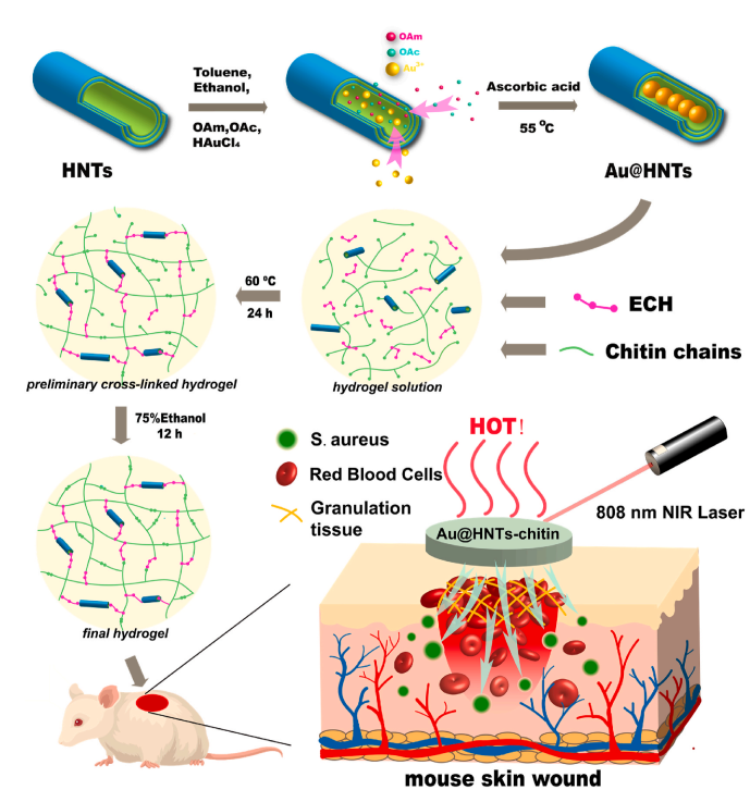 抗菌水凝胶怎么操作新型抗菌复合水凝胶——高效抗菌促进伤口愈合及止血功能_https://www.jmylbn.com_新闻资讯_第1张