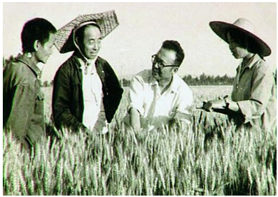 【汶阳篁韵】砖舍村庄的博大历史文化