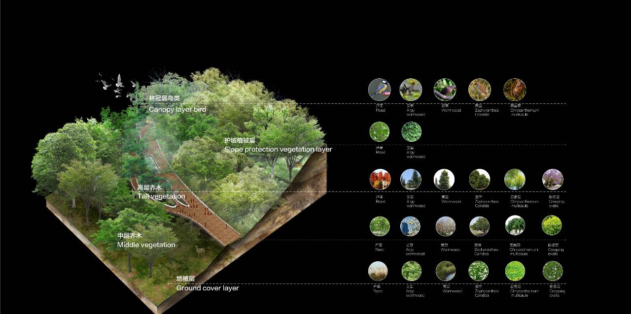 1/13 《 Su+lumion8+ps多软件协同出图流》