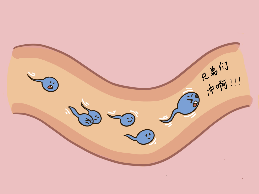 AMH值低于这个范围，提示你可能“卵巢早衰”了！