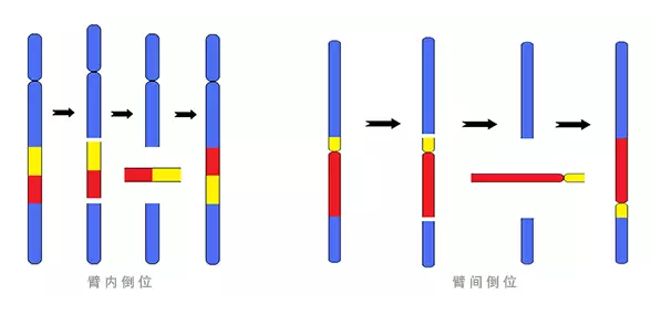 导致试管不着床的8个原因你中了吗?
