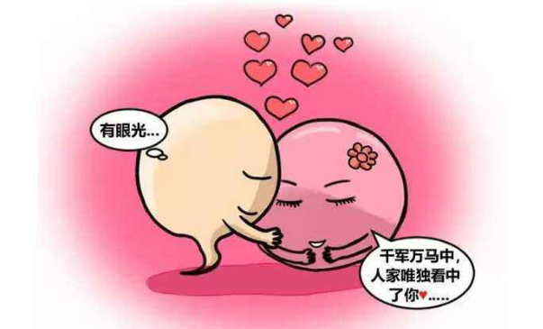 卵子质量差?别慌！教你几招！