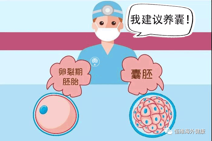 试管百科：难过“高考”，逼哭选择恐惧症的试管养囊！