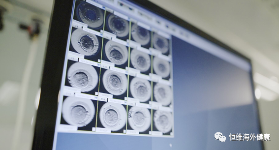 试管百科：难过“高考”，逼哭选择恐惧症的试管养囊！