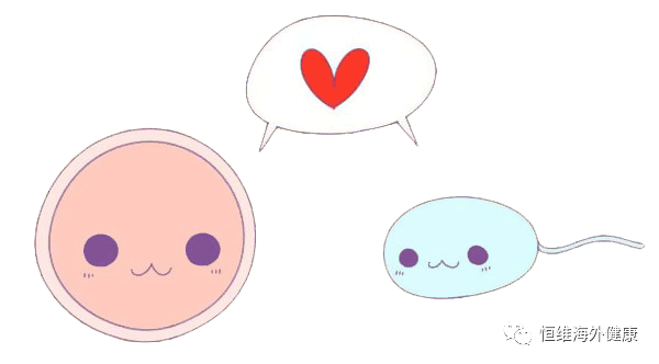 生三胎？！子宫腺肌症二胎都怀不上怎么办？