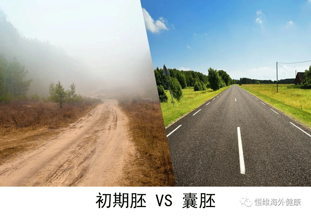 试管科普 | 做试管婴儿，要多少颗胚胎才能养成一颗囊胚？