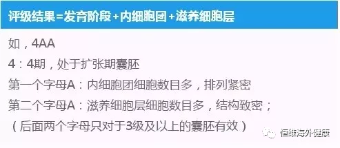 分钟带你了解胚胎级别，科学评估试管婴儿成功率！"