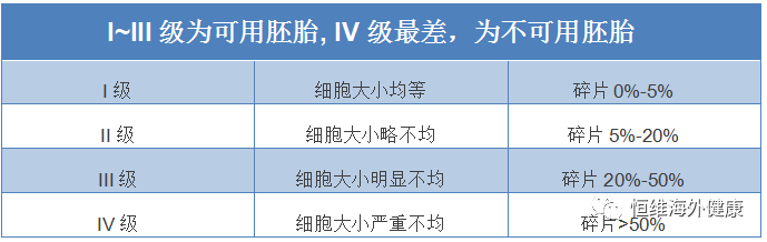 分钟带你了解胚胎级别，科学评估试管婴儿成功率！"