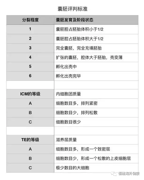 分钟带你了解胚胎级别，科学评估试管婴儿成功率！"
