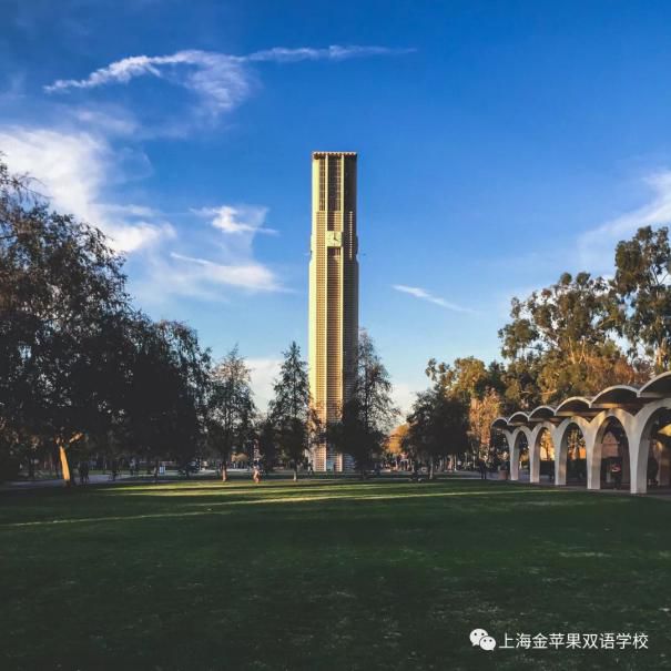 上海金苹果学校校长胡_上海金苹果学校_上海金苹果学校学费