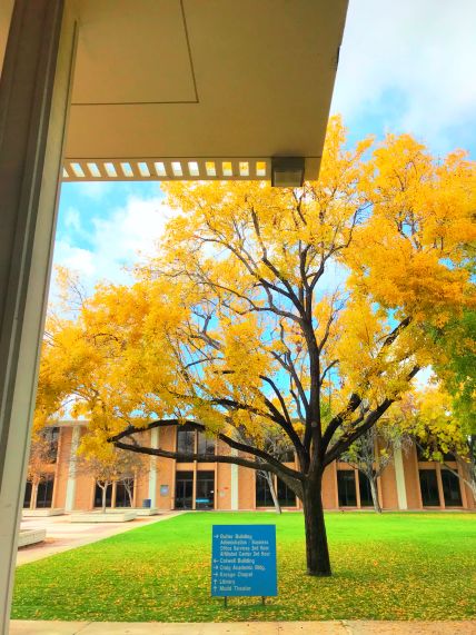 上海金苹果学校校长胡_上海金苹果学校_上海金苹果学校学费