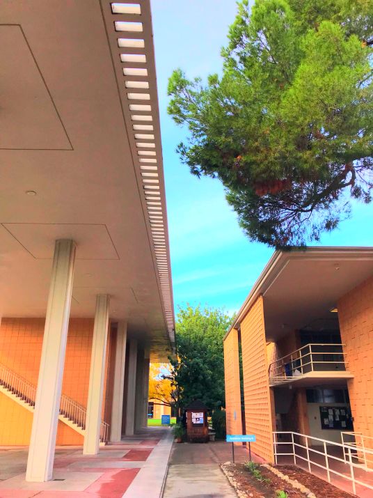 上海金苹果学校学费_上海金苹果学校_上海金苹果学校校长胡