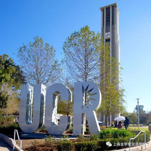 上海金苹果学校_上海金苹果学校校长胡_上海金苹果学校学费