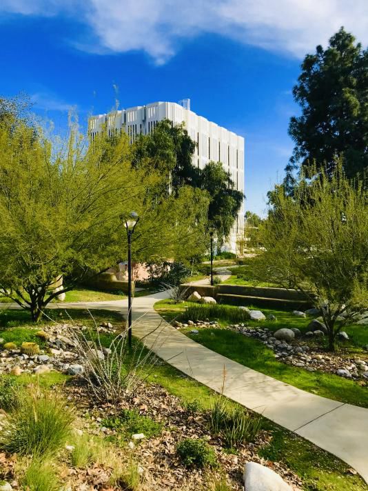 上海金苹果学校学费_上海金苹果学校校长胡_上海金苹果学校