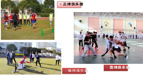 上海金苹果学校_上海金苹果学校学费_上海金苹果学校校长胡