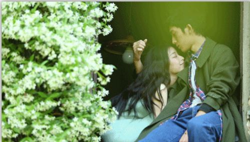 井柏然和倪妮的合约，是从什么时候开始生效的？