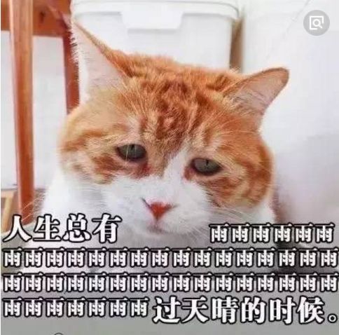 井柏然和倪妮的合约，是从什么时候开始生效的？