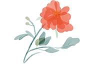 牙科材料硅胶怎么用【口腔科普】“小小咬胶”却是隐形矫治的助力神器！_https://www.jmylbn.com_新闻资讯_第2张