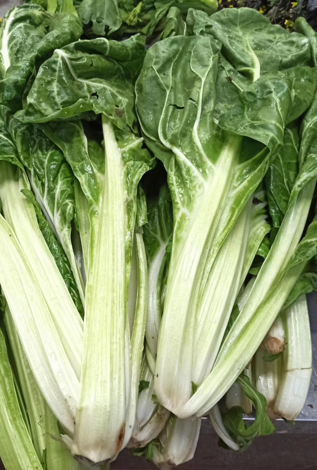 四川小孩的冬季限定绿叶菜你认识几个