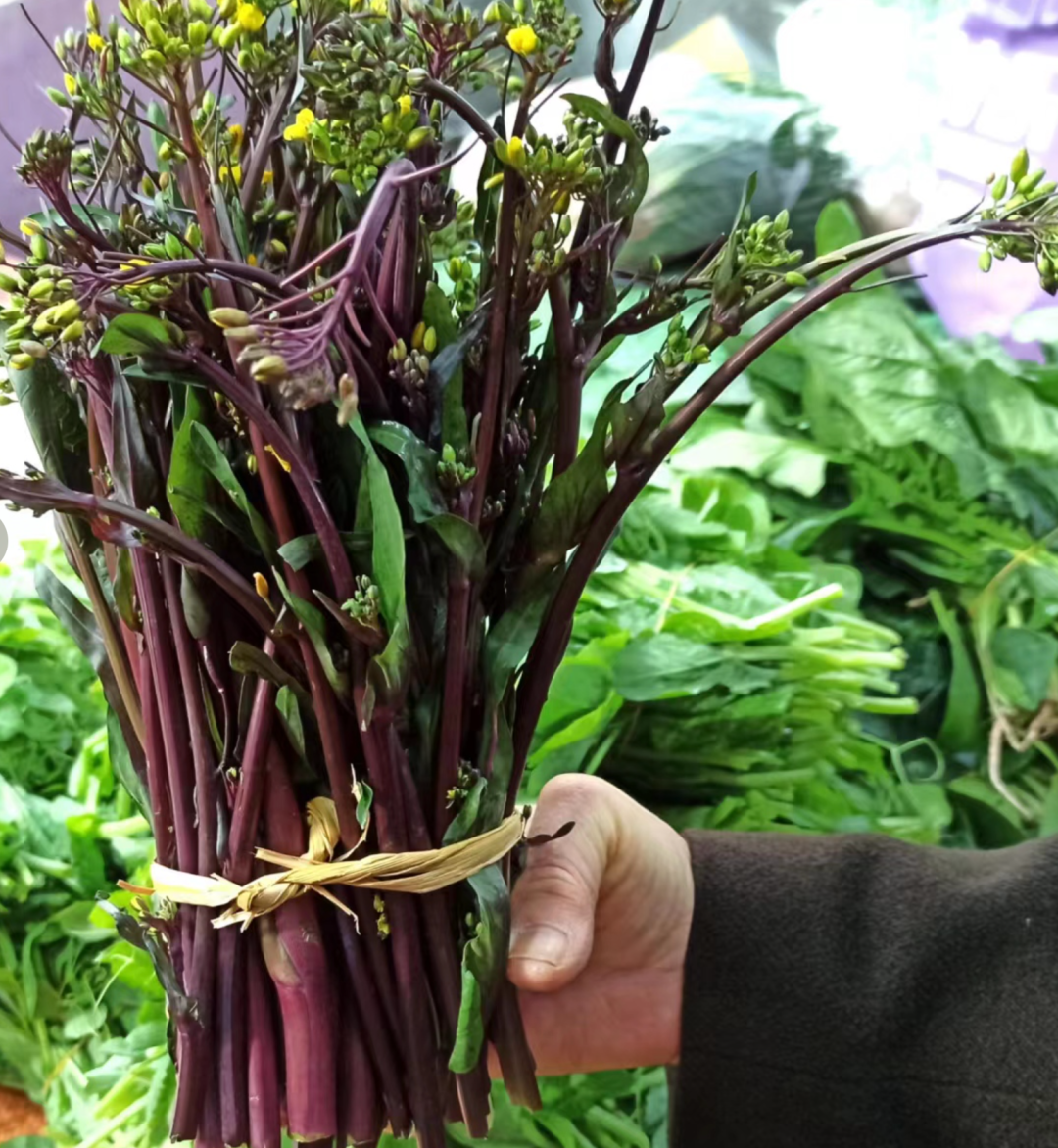 四川小孩的冬季限定绿叶菜你认识几个