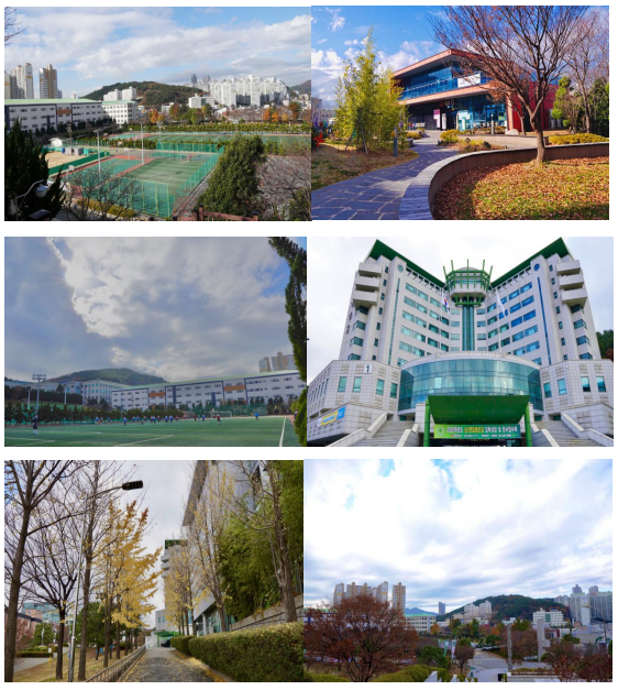 韩国东明大学专升本项目 - 韩国东明大学中国办公室(官网)│中韩双语