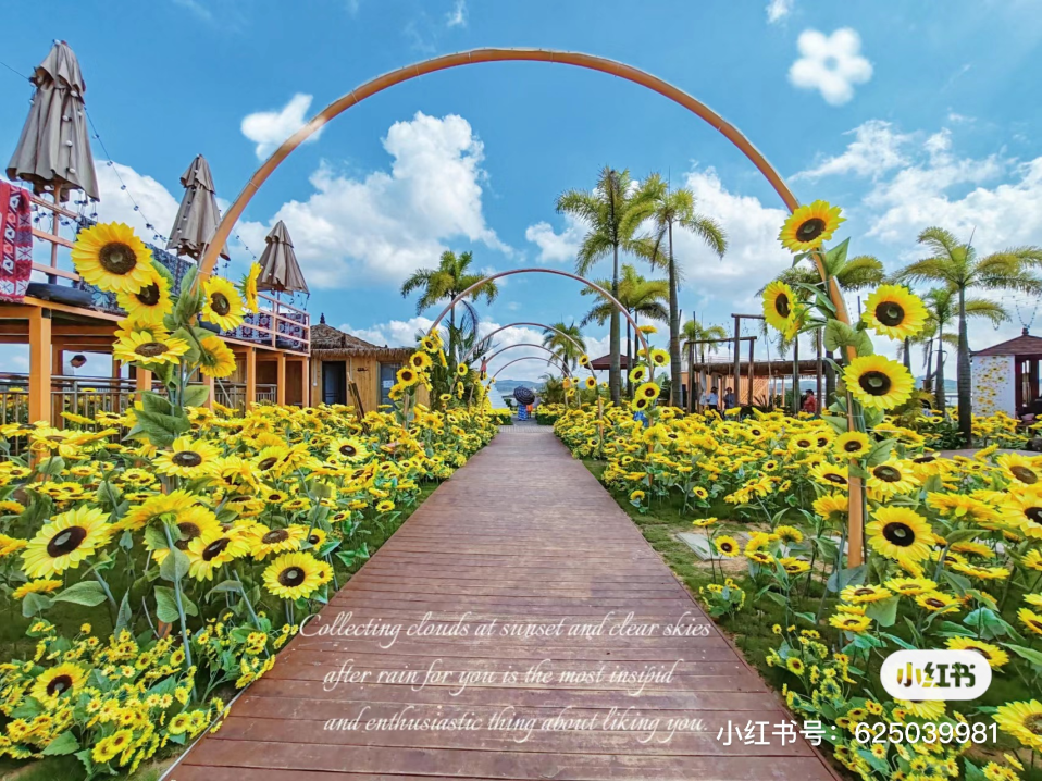 春日踏青出游,一见"钦"心,邂逅醉美茅尾海~ - 钦州旅游 - 钦州市文化