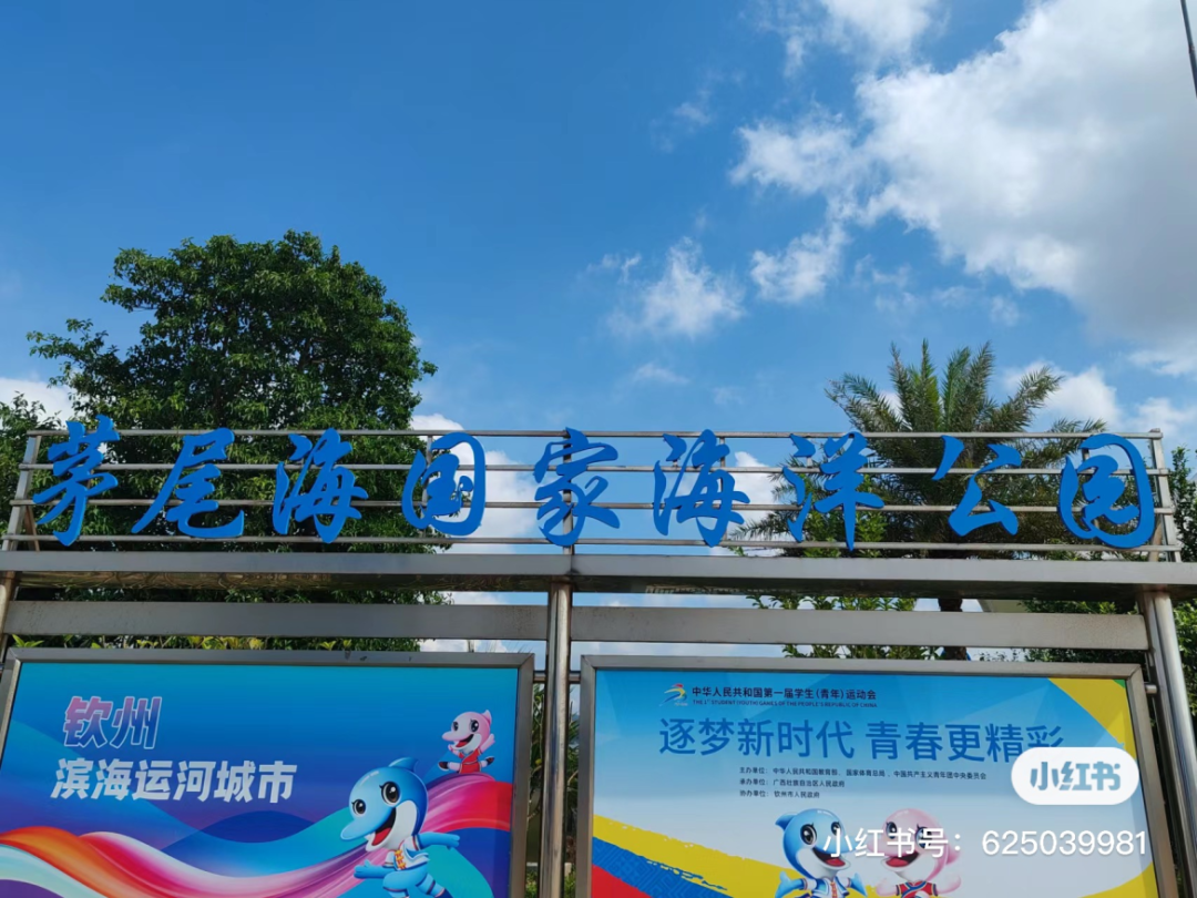 春日踏青出游,一见"钦"心,邂逅醉美茅尾海~ - 钦州旅游 - 钦州市文化