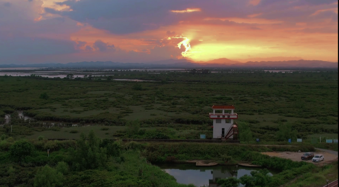 春日踏青出游,一见"钦"心,邂逅醉美茅尾海~ - 钦州旅游 - 钦州市文化