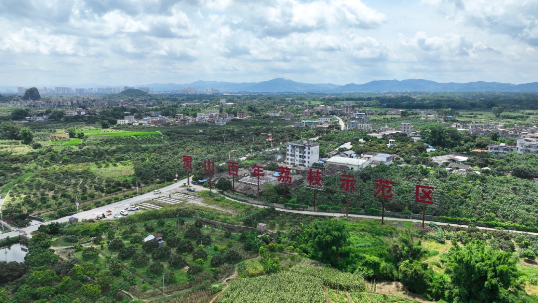 2024灵山荔枝文化旅游节系列活动将于6月举办