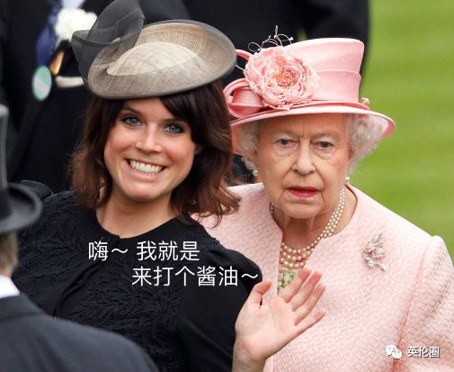 这个专打酱油的公主也订婚了！原来在英国皇室，哈里王子才是异类 - 13