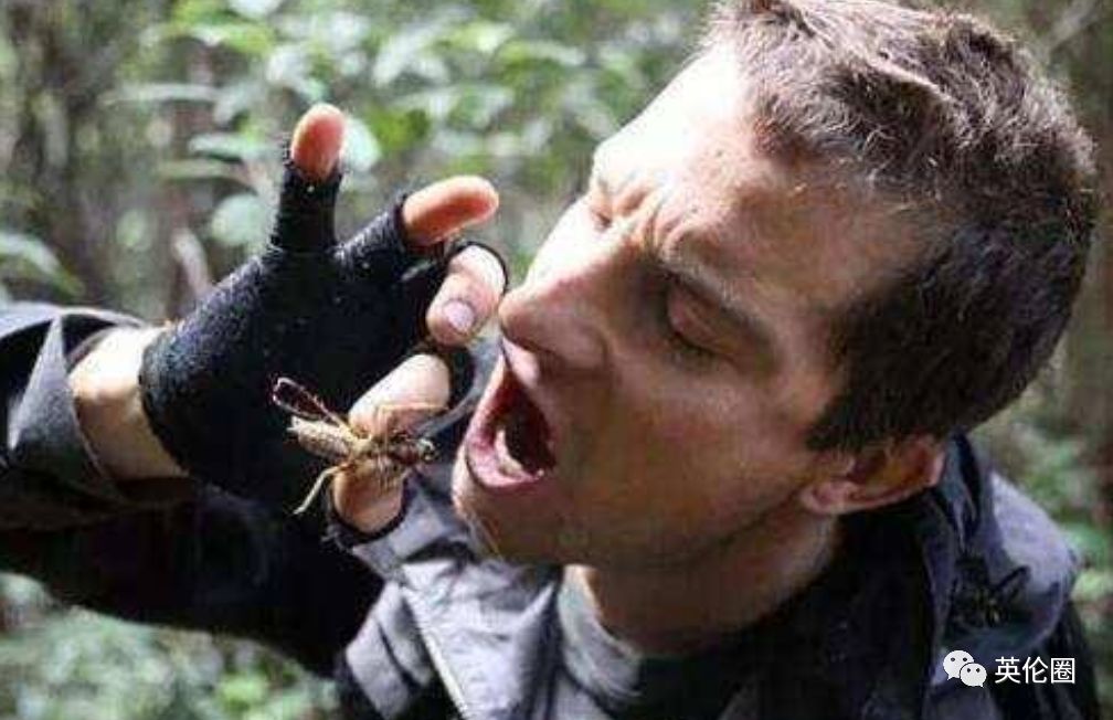 为了击败什么都吃的中国人,外国人连蟑螂奶都拿出来卖