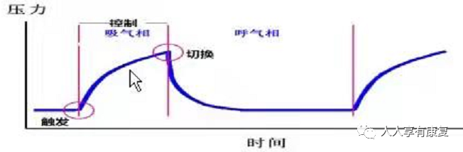 为什么成人呼吸机用容控菜鸟康复医师学习呼吸机_https://www.jmylbn.com_新闻资讯_第8张