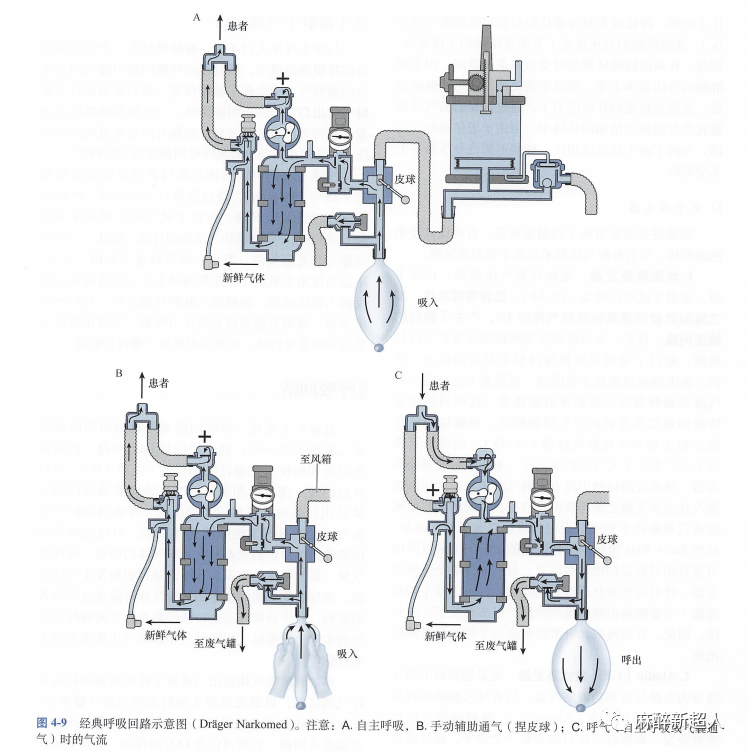 为什么用麻醉呼吸回路规培笔记：麻醉机呼吸回路_https://www.jmylbn.com_新闻资讯_第1张
