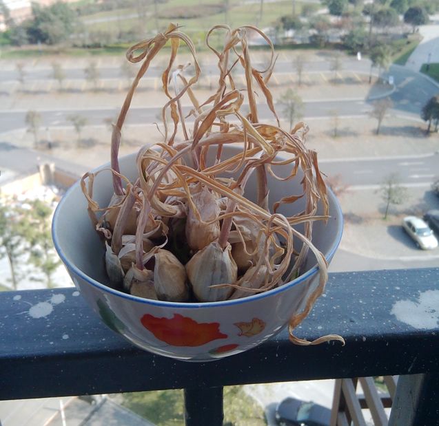 我是如何作死极品女友的！