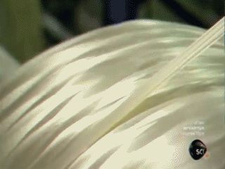 碳纤维材料—制造过程认识的图8