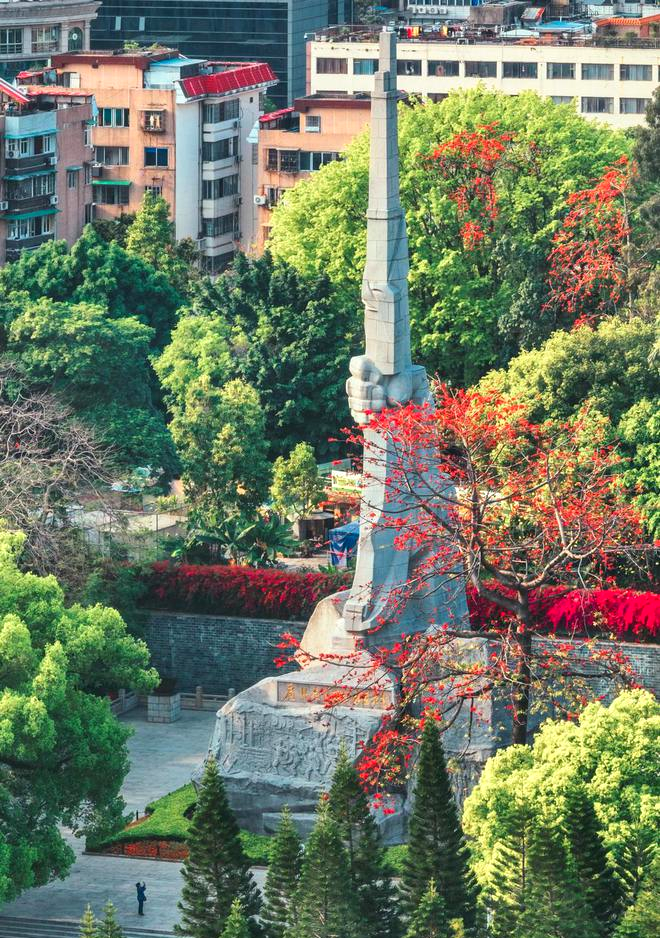 广州木棉赏花点还有海珠广场,东山湖公园,荔湾湖公园黄埔