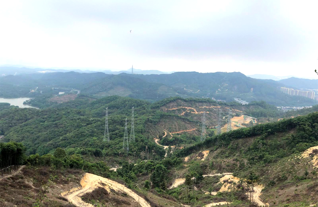 凤凰山森林公园山脚下还有龙洞筲箕窝水库水库虽然不大,但湖水清澈,有