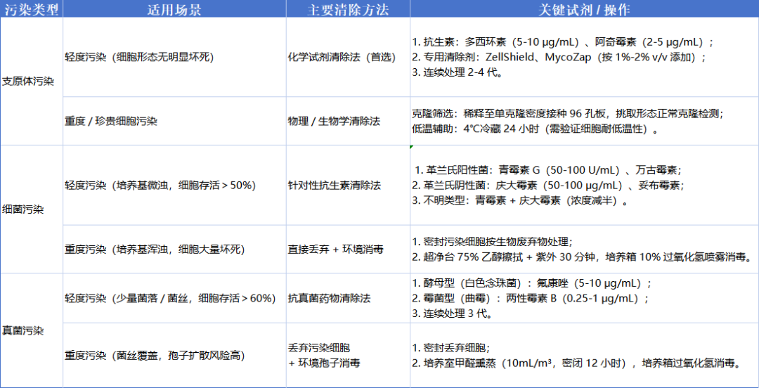 细胞污染清除方法