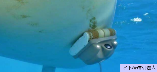 浅谈船舶污底说明！的图11