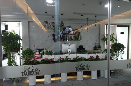 熊貓直播正式破產