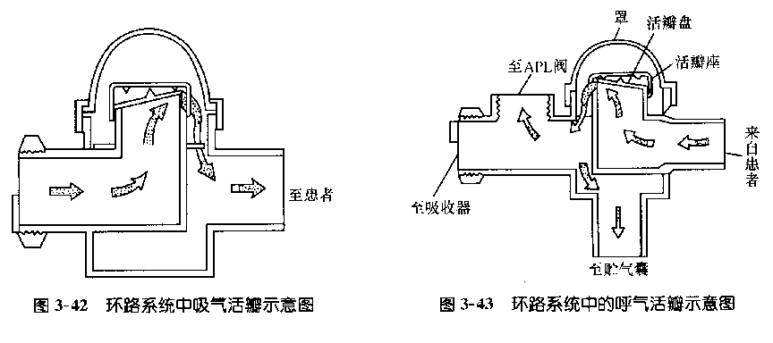 为什么用麻醉呼吸回路麻醉机丨麻醉通气系统_https://www.jmylbn.com_新闻资讯_第14张