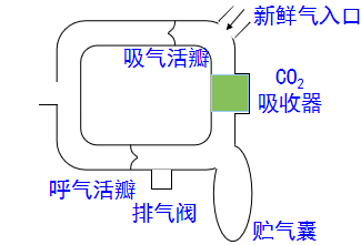 为什么用麻醉呼吸回路麻醉机丨麻醉通气系统_https://www.jmylbn.com_新闻资讯_第9张