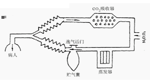 为什么用麻醉呼吸回路麻醉机丨麻醉通气系统_https://www.jmylbn.com_新闻资讯_第11张