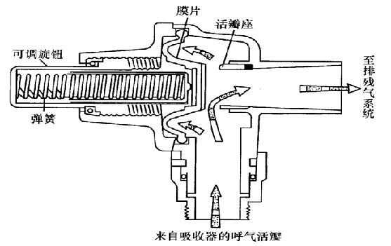 为什么用麻醉呼吸回路麻醉机丨麻醉通气系统_https://www.jmylbn.com_新闻资讯_第15张