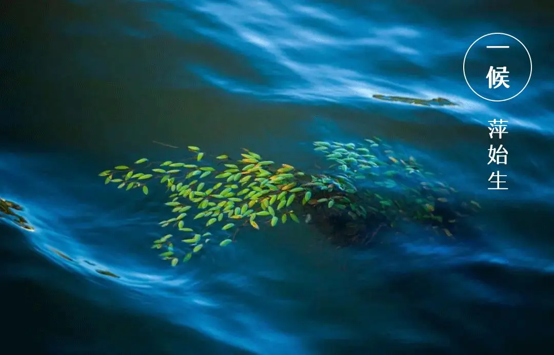 谷雨:飘进了唐诗宋词里的谷雨 谷雨:飘进了唐诗宋词里的谷雨