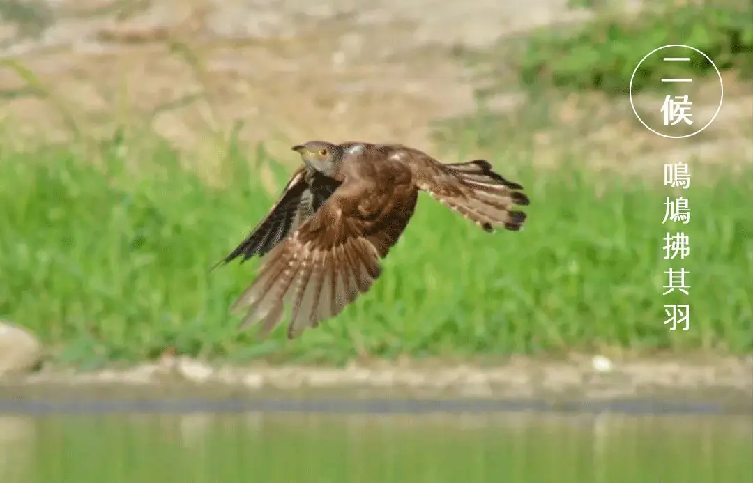 谷雨:飘进了唐诗宋词里的谷雨 谷雨:飘进了唐诗宋词里的谷雨