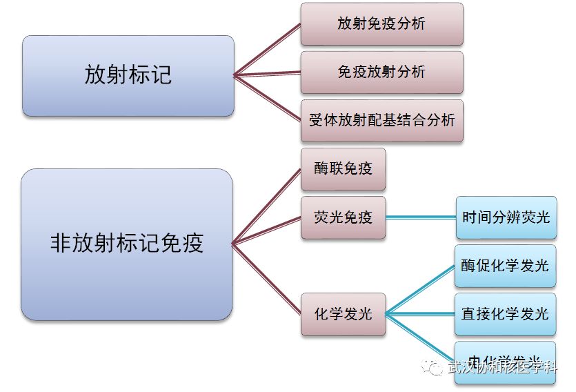 为什么验尿要200抽血十分钟，等待2小时，还要200块？良心不讹！_https://www.jmylbn.com_新闻资讯_第3张