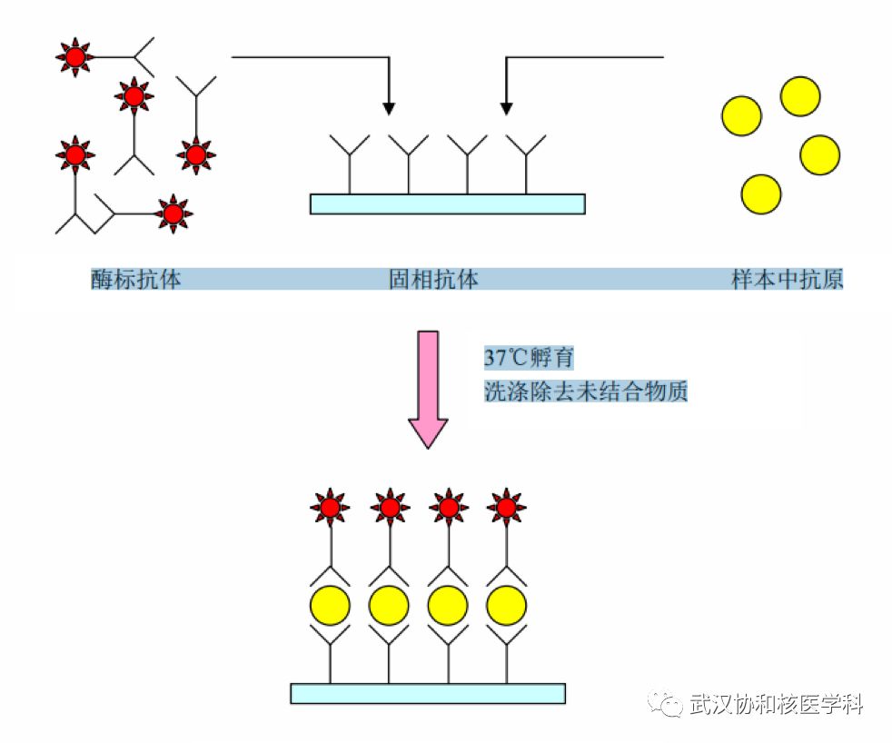 为什么验尿要200抽血十分钟，等待2小时，还要200块？良心不讹！_https://www.jmylbn.com_新闻资讯_第4张